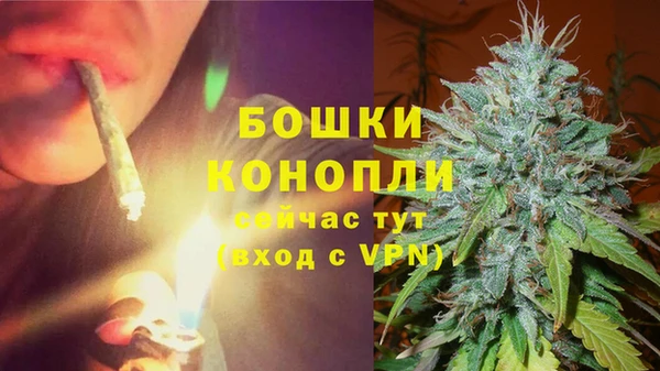 ешки Нефтегорск