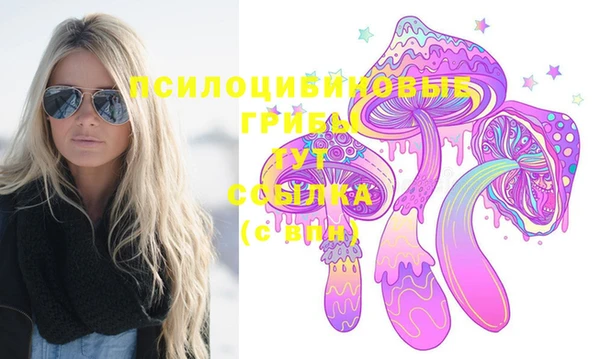 СК Нея