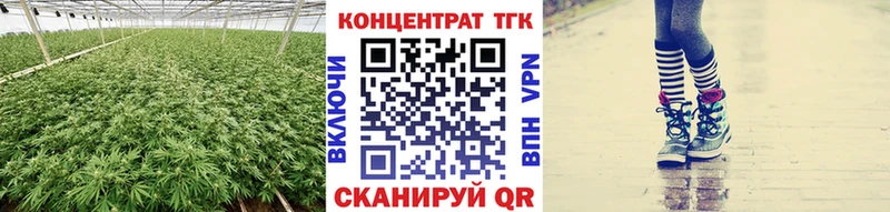 omg   Армянск  ТГК THC oil 
